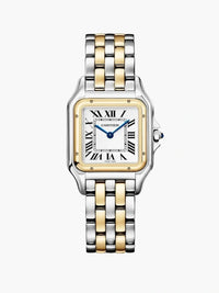 Yellow Gold / Silver